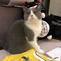 ���ҼҼ�����������