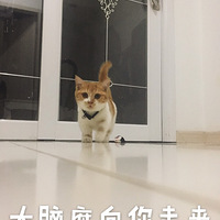 �Դ�����è���ֻ����ȫ��èèèèè�����ģ������ڵģ�