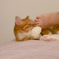 �����������Ӵ�ʪ�ˣ��ž���ζ���ˣ��ؼҵ�һ���¾���......