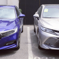 ȫ��һ���Ÿ�Ϳ������ѡ˭��