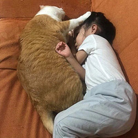 ��������ֻè��Ů��һ�𳤴󣬿���һ���...