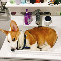 ���ǿ»����Ҳ���ˮ������������������