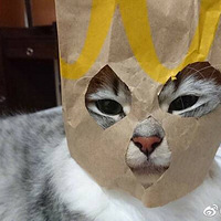 ��������ͷ���ˣ���ô�죿����