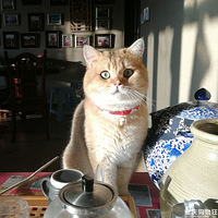 �����ˣ�