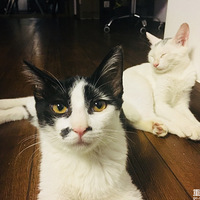 û���Ը���~