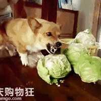 ͬ�ö���ҽԺ�ļ���������������������������