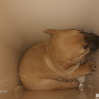 ���ˣ��׼�������