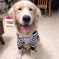 ���谮һ�ġ�+ѩ����ó�