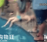 ���磡������ʯ����һ��ͯ��С����Ӿ����ɥ��