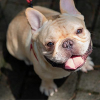 �ҵĶ��ӽд�ƨ��