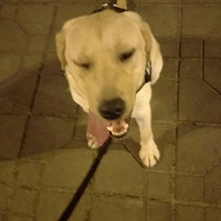 ���谮һ�ġ��������ĵ��ε�