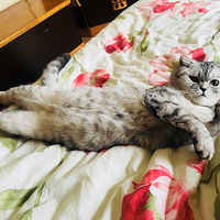 ��л����û�к��Ĵ��߿���