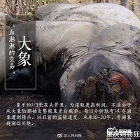 û��������û���˺���