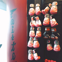 *Ŷ* Pink Boxingۺȭ