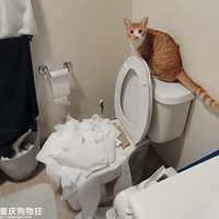 �����Ǹ����ǵ�һЩ����ϲ�������ʺ���������Ӱ���