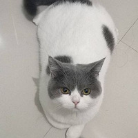 ���ˣ��Ҽҹ���������ɾ������