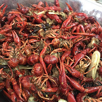 ������˫��С�ۣ�����С��Ϻ������ţ��