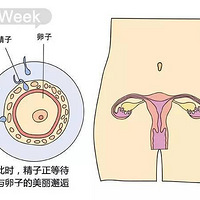 1-40̥仯飬ıĸ׶ˣ