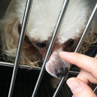 ͬ�þ���������������-���벻���Ľ��