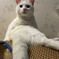 ������Ǳ����