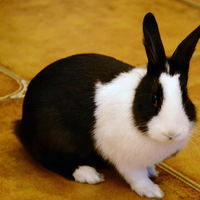 �ײе���ߴߴ��������ô��ʰ�㣡�� ͬ�ö���ҽԺ��������