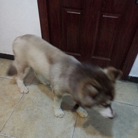 ������ʲô��������Ʒ��