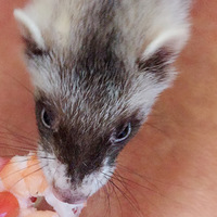 ���谮һ�ġ�+�������С�����Ÿ��������պ���