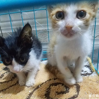 ������ֻ������������������