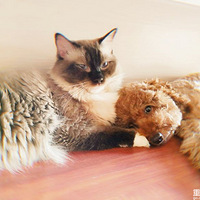 ����������һ��