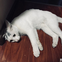 ÿ�θ������èߣë�������յ����