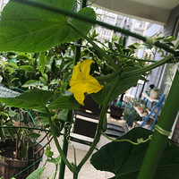 ��̨���߲�