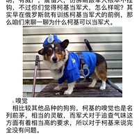 ���ǵ�С�����ܲ��ܷž�Ȯ��