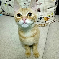 èè����������è��~ΪС�Թ��Ҹ���ů�ļ�