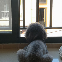 �����ǰ���۶��Ҹ�ϱ��