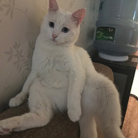 ��ɧ�����˲���˭���е�