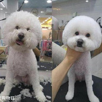 �������Tony��ʦ�����Ǻú�̸̸......