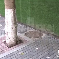 ���磡����3����ͯ�������񿾮��ĸ�����¾���˫˫����