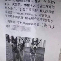 ����#ʷ�����ϵѰ������# ������������Щ����Ѱ����ʾ����