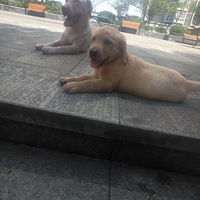 Сç�ӵ�һ�γ��š��ÿ�ô