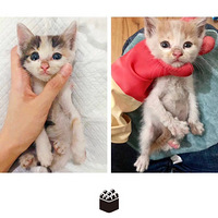 Сè������