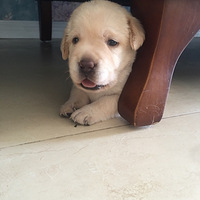 �Ҽұ��������ɣ�