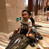 ���ָ�����ϲ���õĴ���+���ȱ������㡿