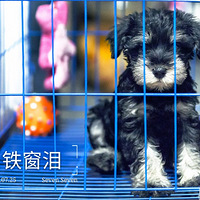 ϣ����Ƥ����������������ý����ɳ�