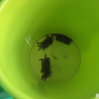 ���²���ӿ�Խ���Ҳ����ˣ�������