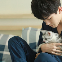 �������ĳ�����������è�䡢���������ᡢ��ܰ���˭����ս��