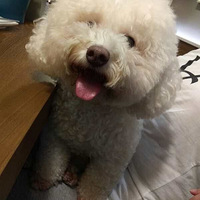 �Ҽҹ���Сʱ����˳�������ǿ�Ļ�����