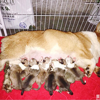 �������˻��Ƕ��ĸ�׶��������Ǹ�