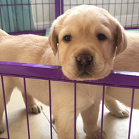 ��ֱ������Խ��Խ���ˣ������᲻�ã�Ը��