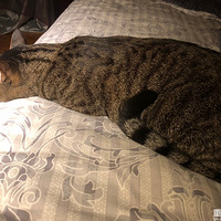 ����һ��ɶ������˯�ˣ�