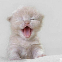 ����è˵����ϲ���㡱��һ�������ĸ��ܣ�